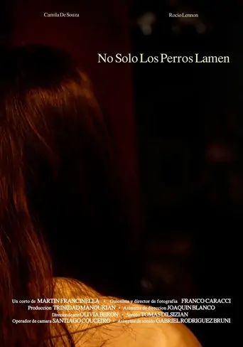 Watch No Sólo Los Perros Lamen Film
