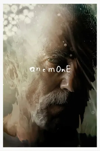 Watch Anemone Film