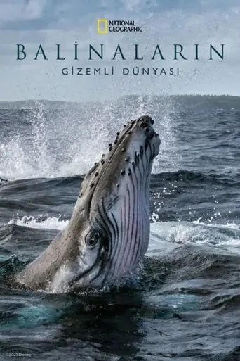 Watch Balinaların Gizemli Dünyası Dizi
