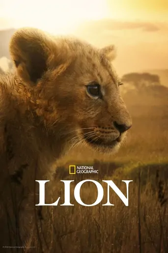Watch Lion Dizi