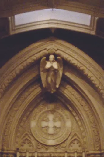 Watch Catechesis Film
