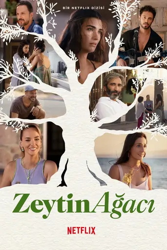 Watch Zeytin Ağacı Dizi