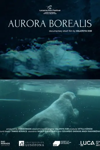 Watch Aurora Borealis Film