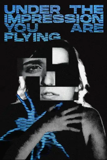 Watch Under The Impression You Are Flying Film