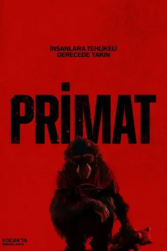 Guarda Primat Film