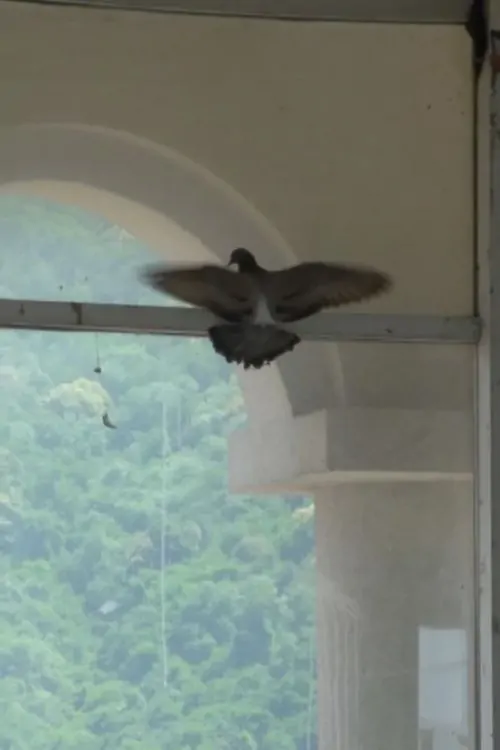 Brenda Jashtë