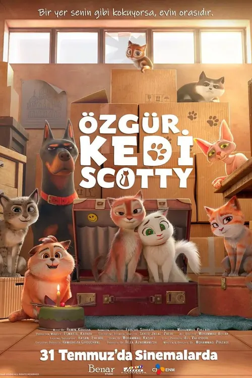 Özgür Kedi Scotty