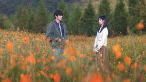 8. Bölüm